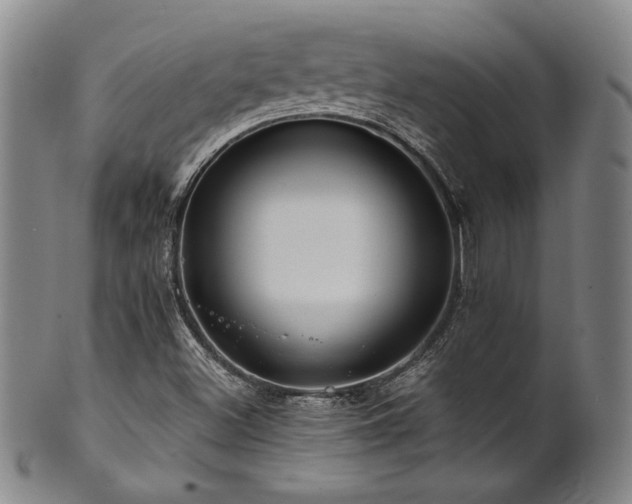 X0000101711500200807101551
