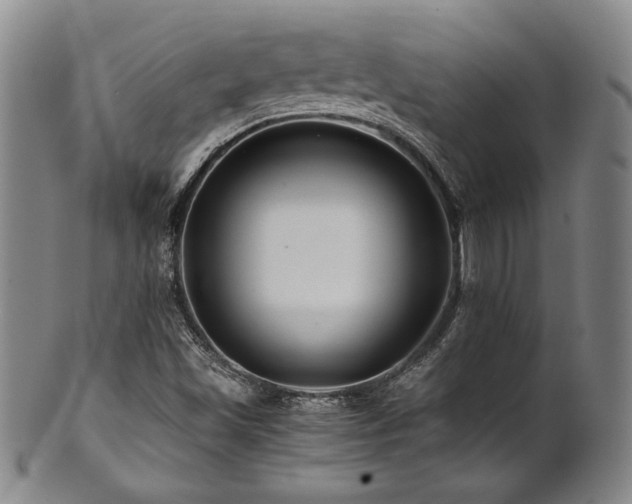 X0000101711501200807101551