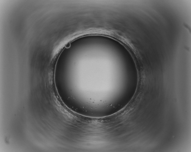 X0000101711504200807101551
