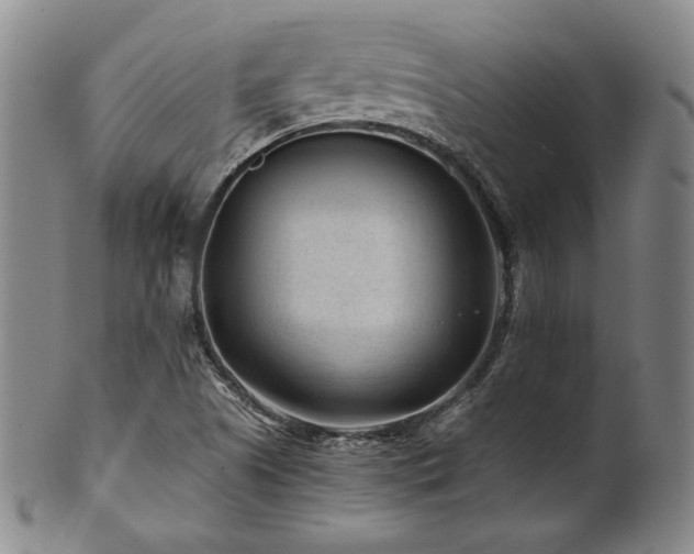 X0000101711505200807101551
