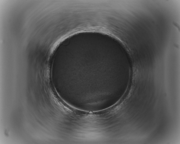 X0000101711506200807101551