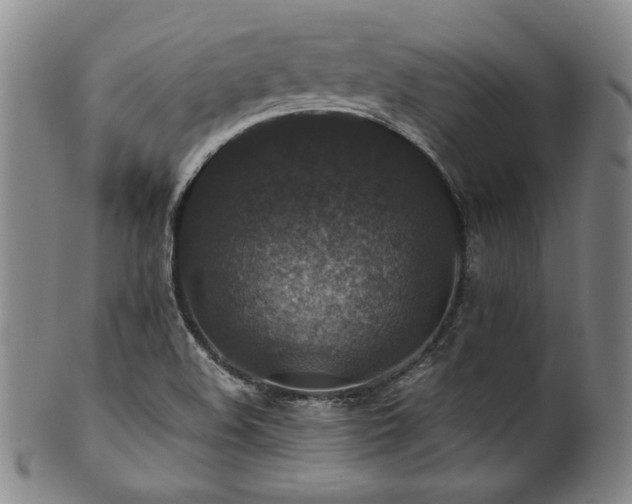 X0000101711508200807101552