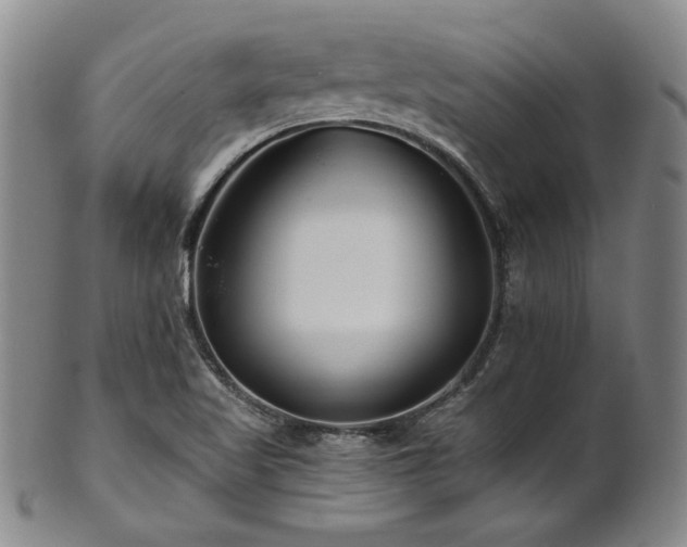 X0000101711509200807101552