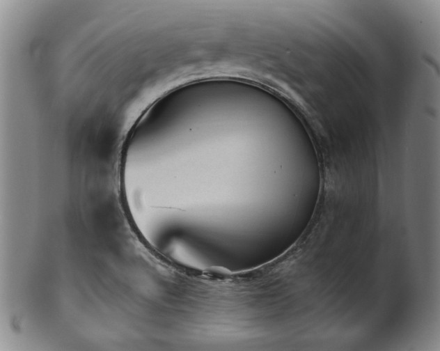 X0000101711512200807101552