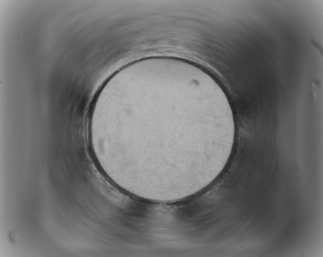 X0000101711514200807101552