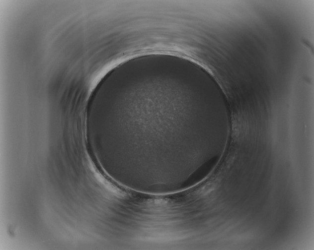 X0000101711515200807101552