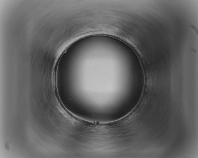 X0000101711516200807101552
