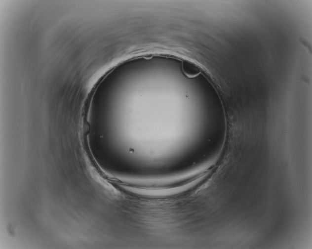 X0000101711518200807101552