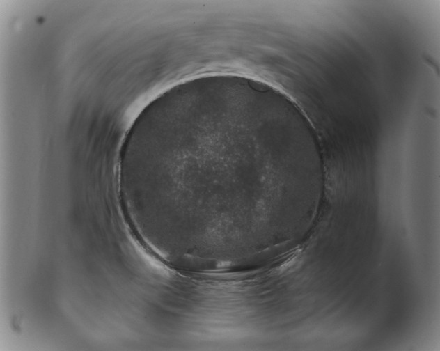X0000101711519200807101552