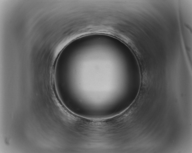 X0000101711520200807101552