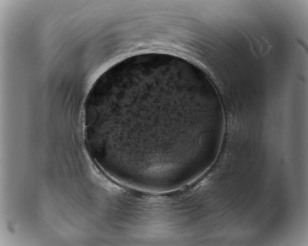 X0000101711522200807101552