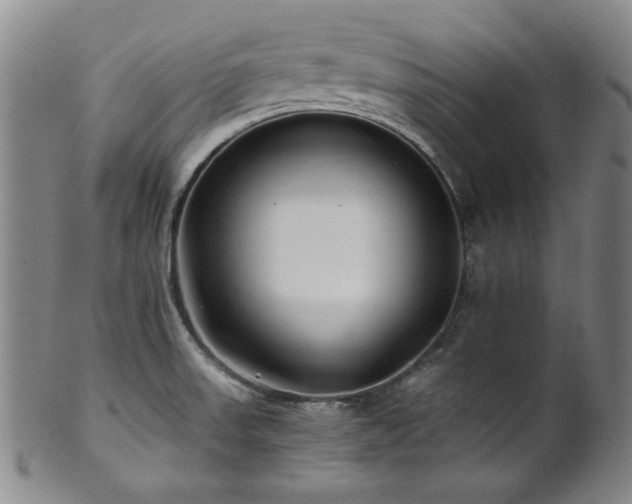 X0000101711523200807101552