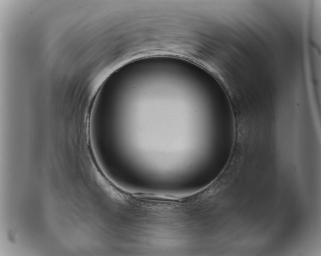X0000101711524200807101552