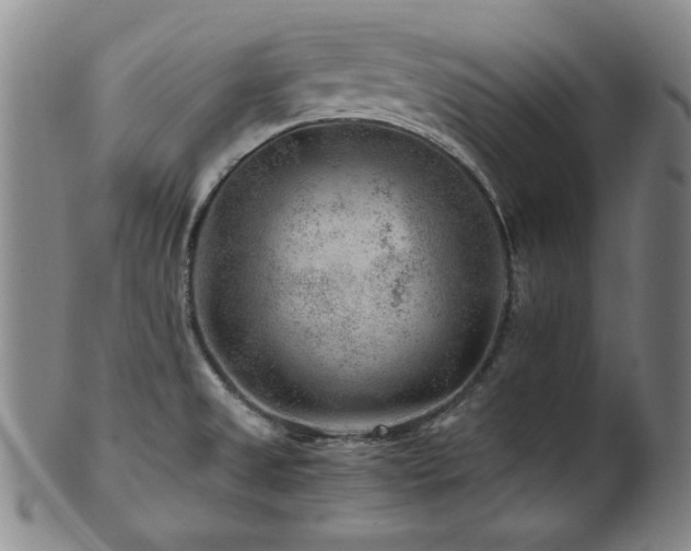 X0000101711525200807101552
