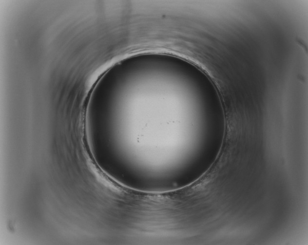 X0000101711526200807101552