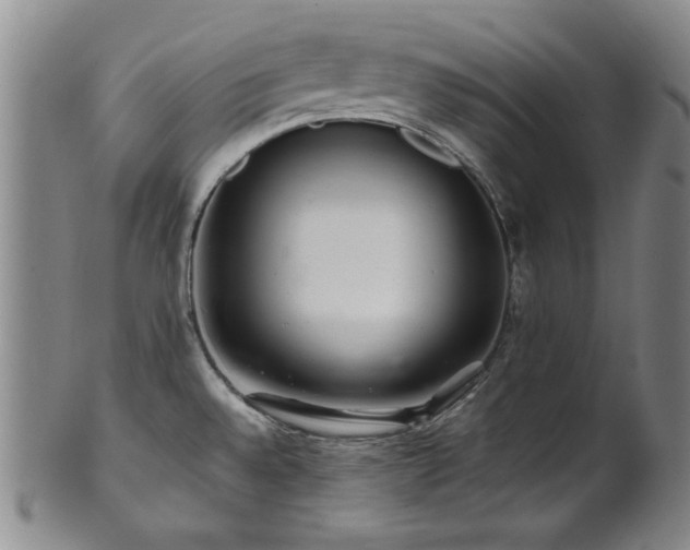 X0000101711528200807101552