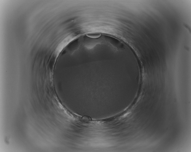 X0000101711529200807101552