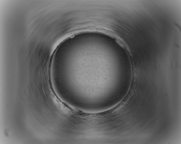 X0000101711530200807101552