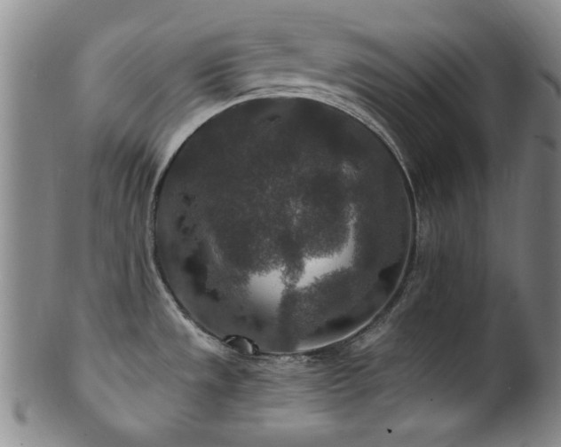 X0000101711533200807101552