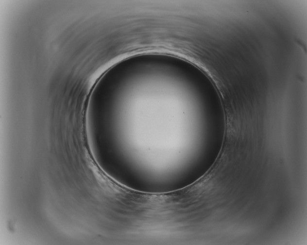X0000101711534200807101552