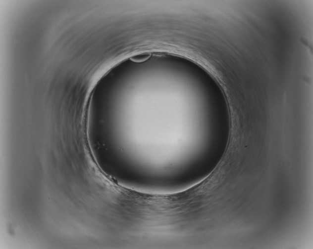 X0000101711536200807101552