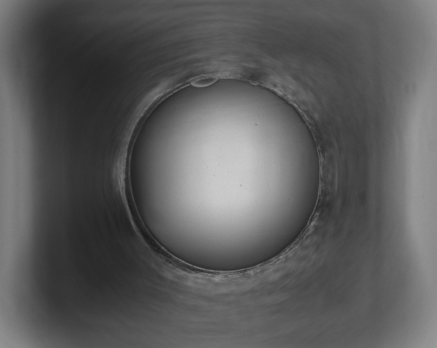 X0000101710003200807171545