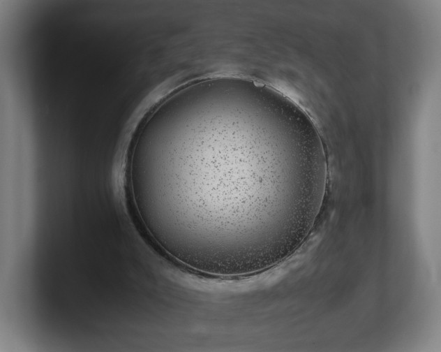 X0000101710007200807171545