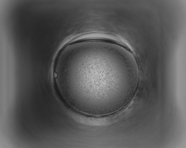 X0000101710008200807171545