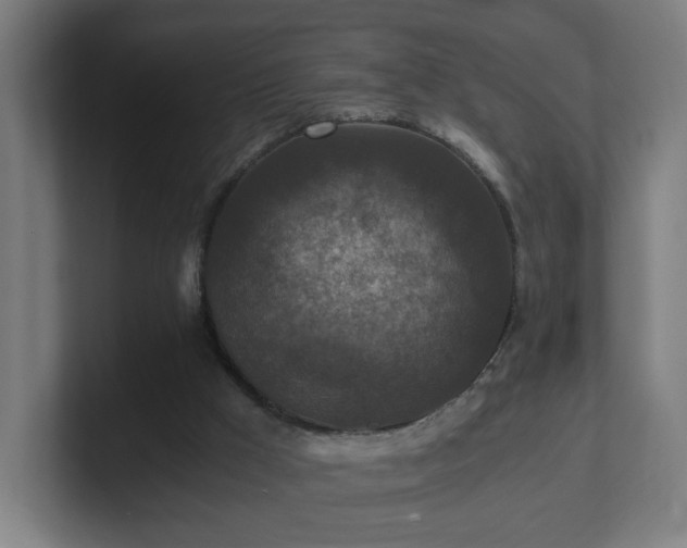 X0000101710009200807171545