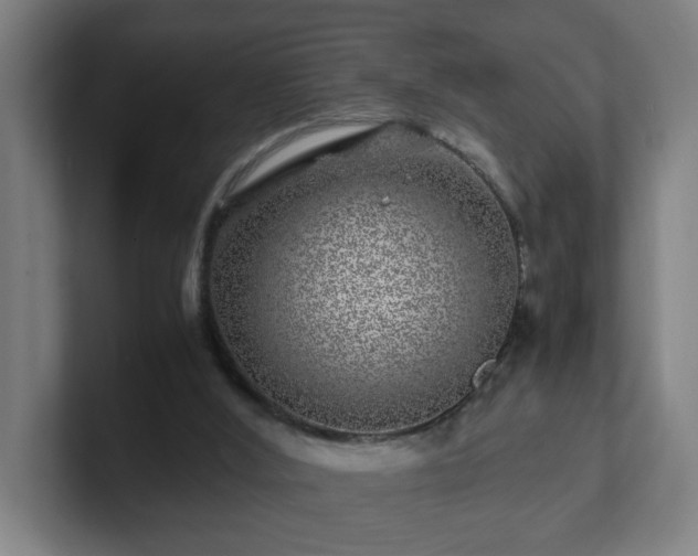 X0000101710012200807171545