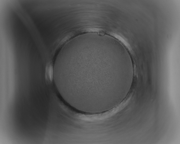 X0000101710013200807171545