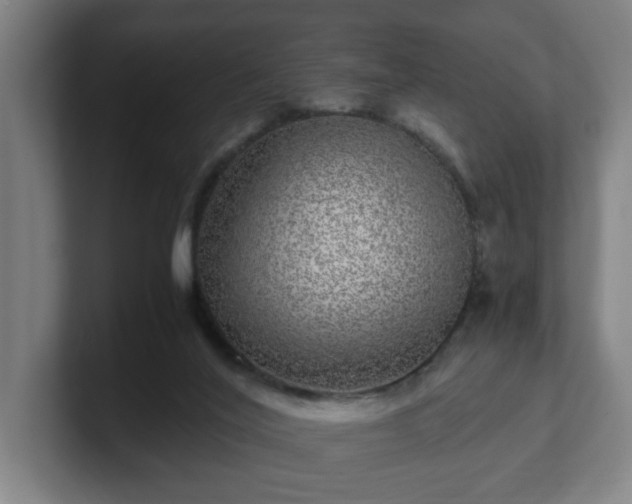 X0000101710020200807171545