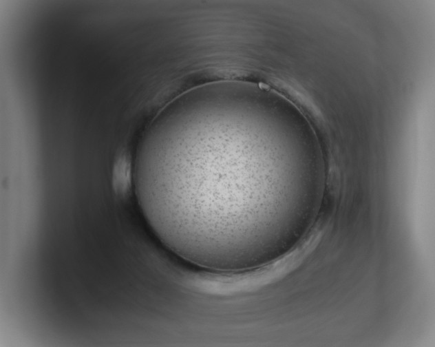 X0000101710021200807171545