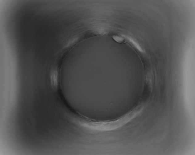 X0000101710023200807171545