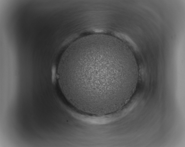 X0000101710024200807171545