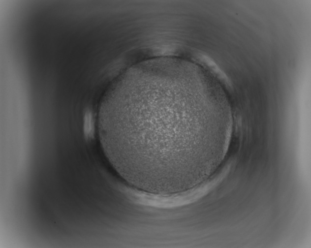 X0000101710026200807171545