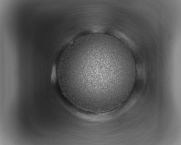 X0000101710028200807171545