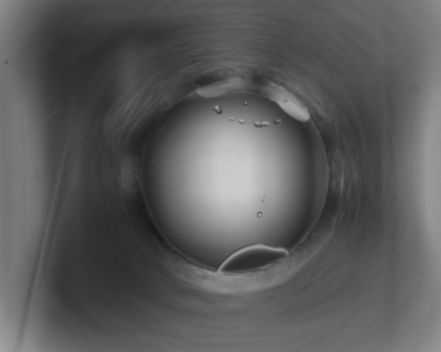 X0000101710034200807171545