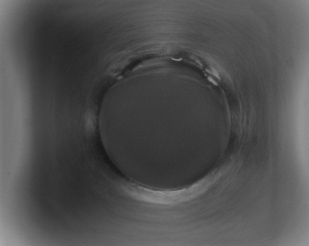 X0000101710035200807171545