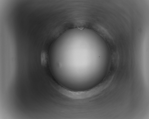 X0000101710038200807171545