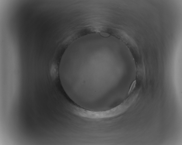 X0000101710043200807171545