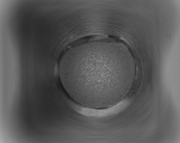 X0000101710048200807171545