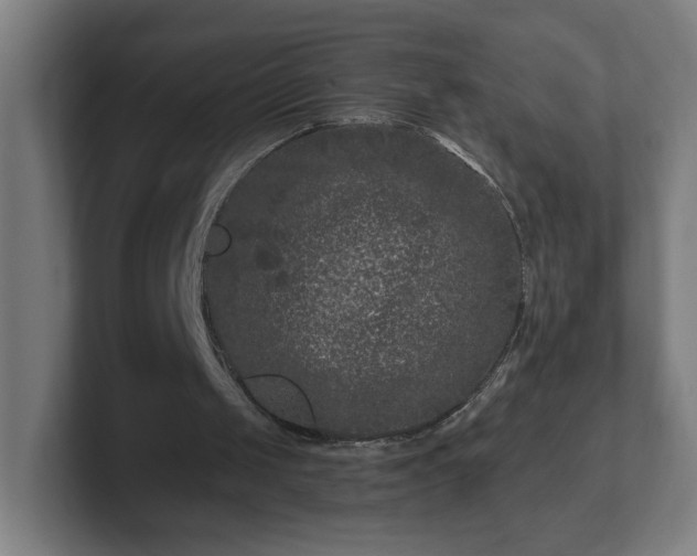 X0000101710049200807171544