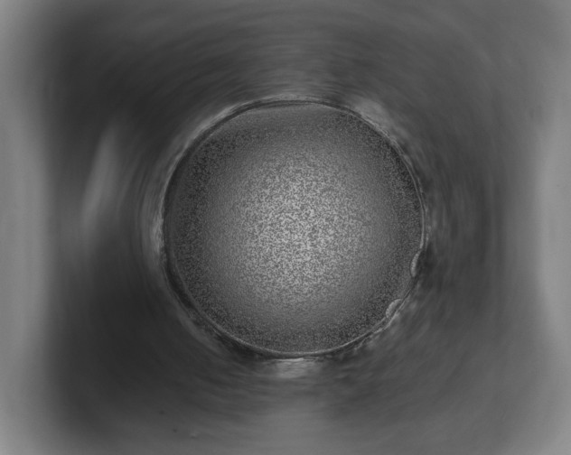 X0000101710050200807171544