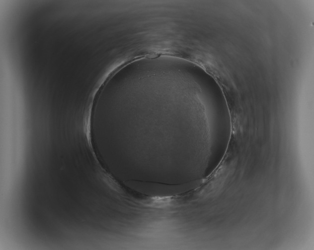 X0000101710052200807171544