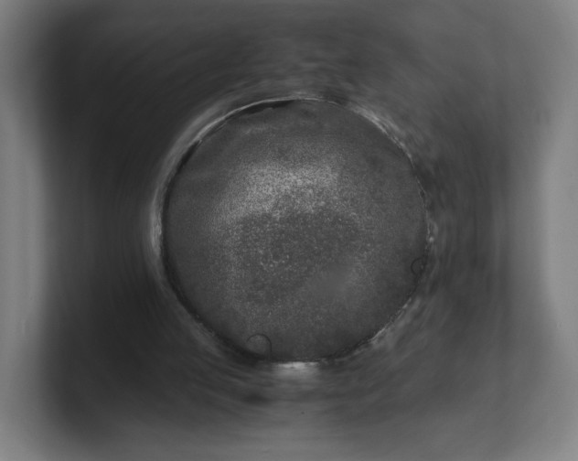 X0000101710053200807171544