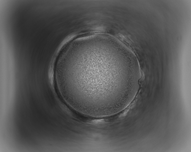 X0000101710054200807171544