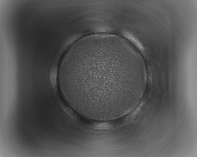 X0000101710058200807171544