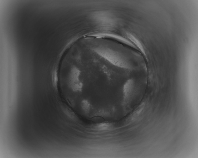 X0000101710059200807171544