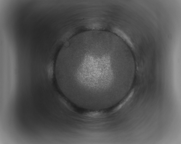 X0000101710065200807171544